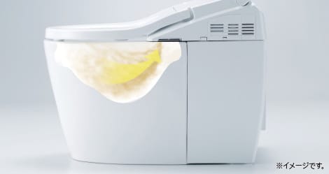 nắp bệt toto