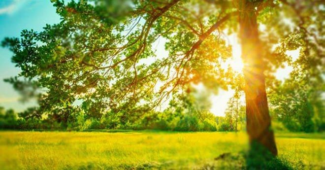 Quạt tháp lọc không khí hay điều hòa Lựa chọn hoàn hảo cho mùa hè