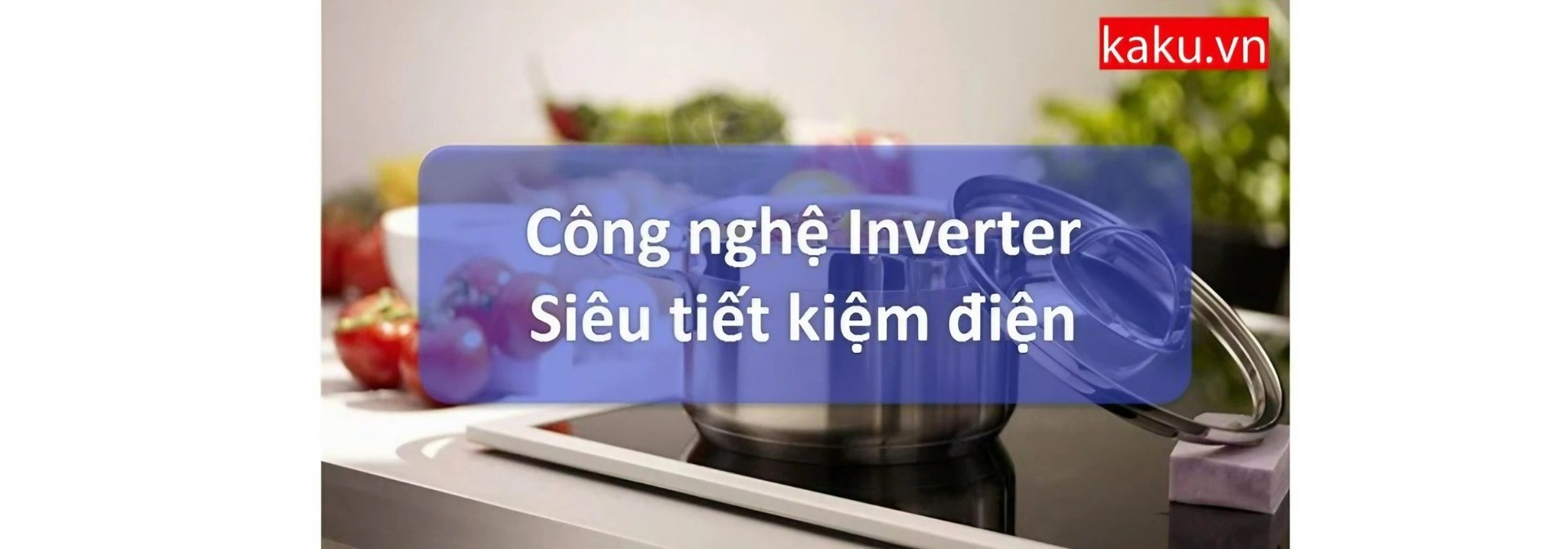 Bếp từ PANASONIC KZ-G32AK MÀU ĐEN