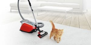 5 cách để dọn dẹp, không khí tại nhà