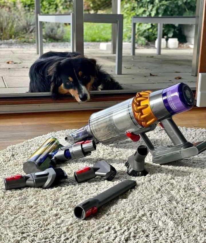 Máy hút bụi Dyson cao cấp cầm tay V11 Absolute + 4 Máy hút bụi Dyson cao cấp cầm tay V11 Absolute + - Hình ảnh 4