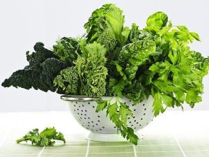 Hướng dẫn toàn diện cho ngăn kéo độ ẩm của tủ lạnh 4 Hướng dẫn toàn diện cho ngăn kéo độ ẩm của tủ lạnh