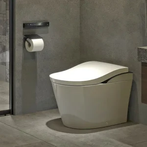 Bồn cầu nguyên khối tự động Nhật TOTO CES9820