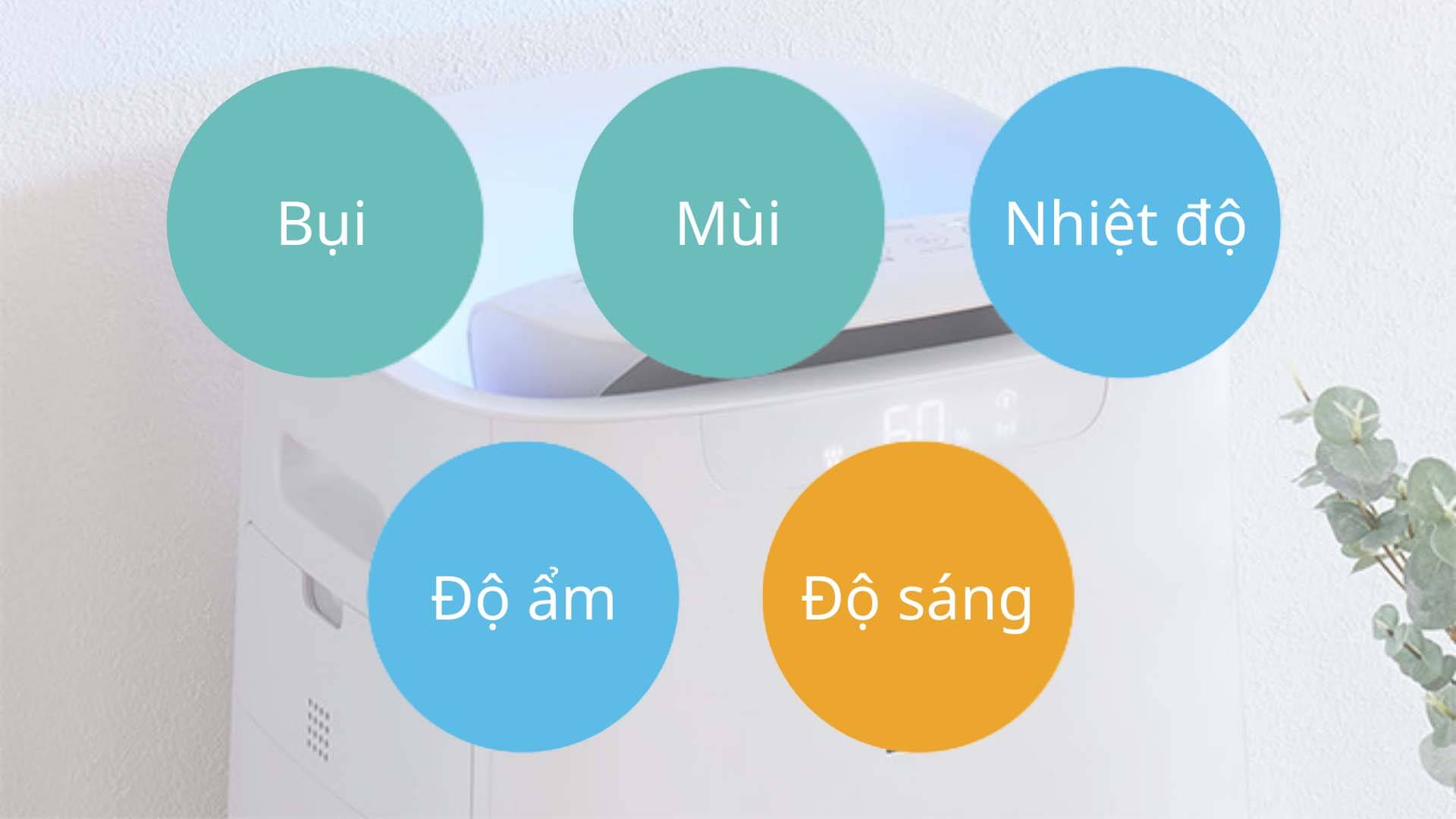Máy lọc không khí tạo ẩm Sharp KI-NX75-W 13 Máy lọc không khí tạo ẩm Sharp KI-NX75-W