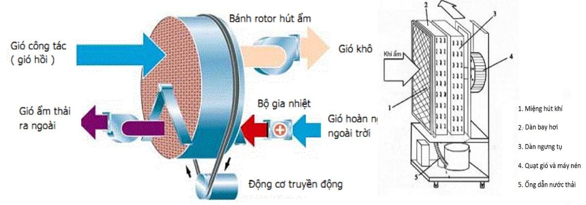 Tìm hiểu về máy hút ẩm: Hiệu quả trong việc kiểm soát độ ẩm 4 Cách hoạt động của máy hút ẩm