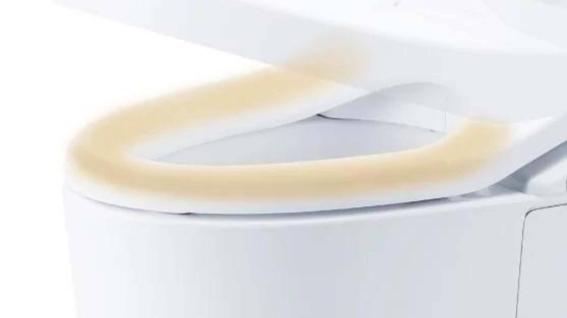 Nắp bệt thông minh TOTO TCF8GM44 10 Nắp bệt thông minh TOTO TCF8GM44