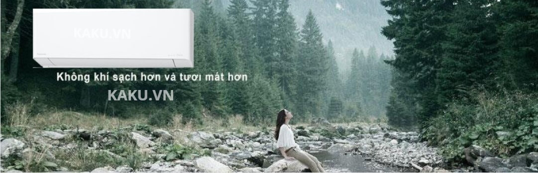 Điều hòa Panasonic CS-220DFL