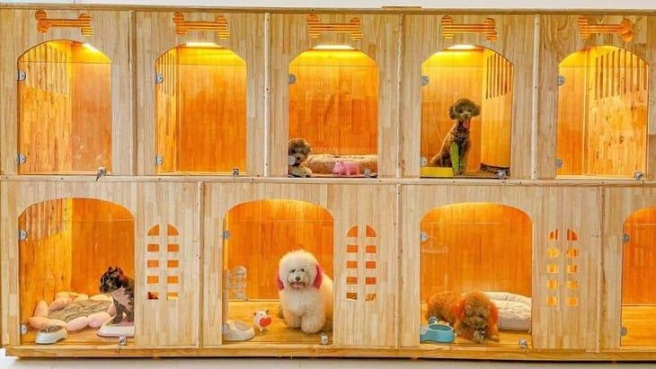 Những điều cần làm bạn cần chú ý trước khi về quê ăn Tết 14 Những điều cần làm bạn cần chú ý trước khi về quê ăn Tết