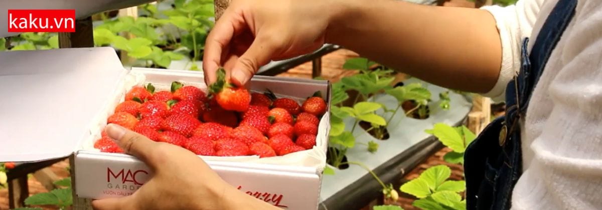Cực hot ! Nồi cơm điện cao tần làm được bánh bạn biết chưa. 3 Cực hot ! Nồi cơm điện cao tần làm được bánh bạn biết chưa.