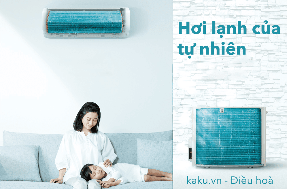 điều hoà nội địa nhật
