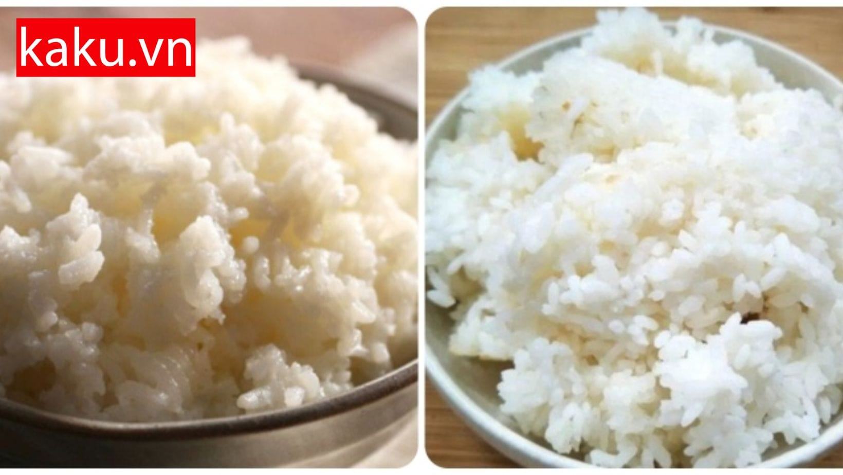 Mẹo giúp cơm nhà bạn không bị thiu vào mùa hè !