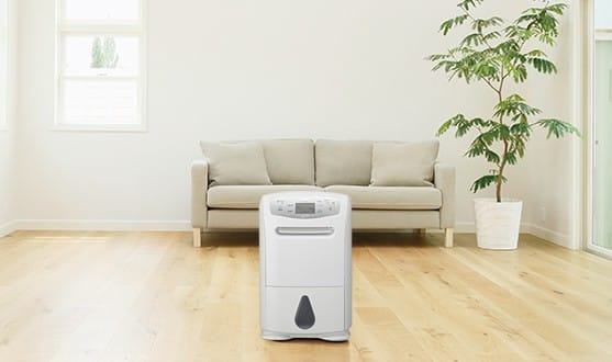 Những đặc điểm nổi bật khiến bạn nên chon máy hút ẩm cho gia đình mình 3 Những đặc điểm nổi bật khiến bạn nên chon máy hút ẩm cho gia đình mình