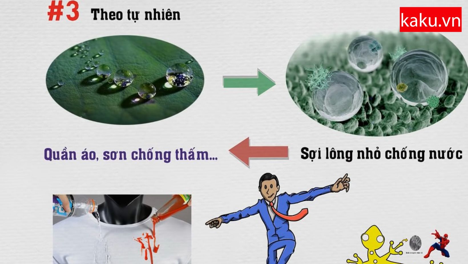 ứng dụng của tự nhiên