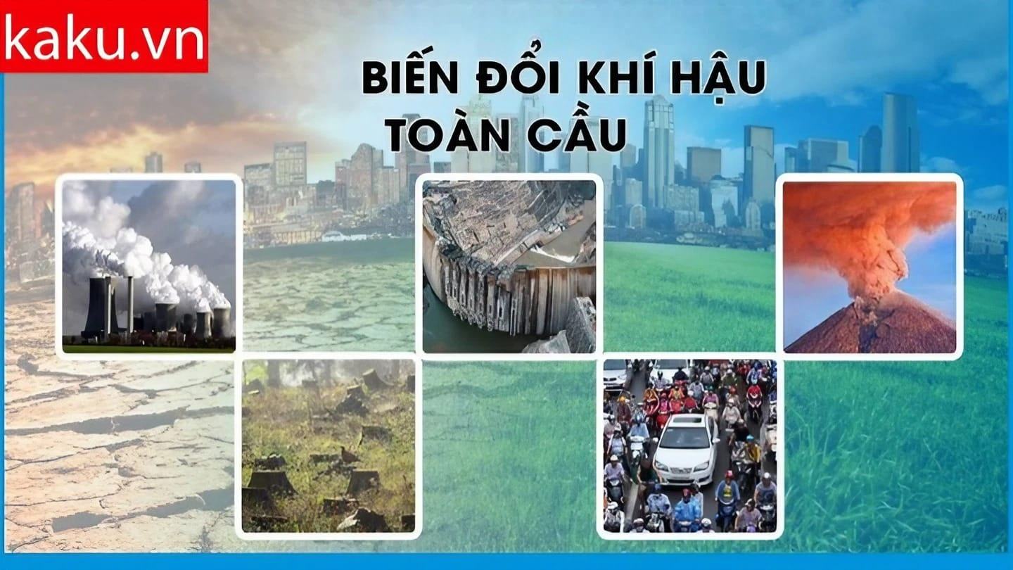 Thời tiết thất thường nguyên nhân do đâu?Tác dụng của máy lọc không khí !