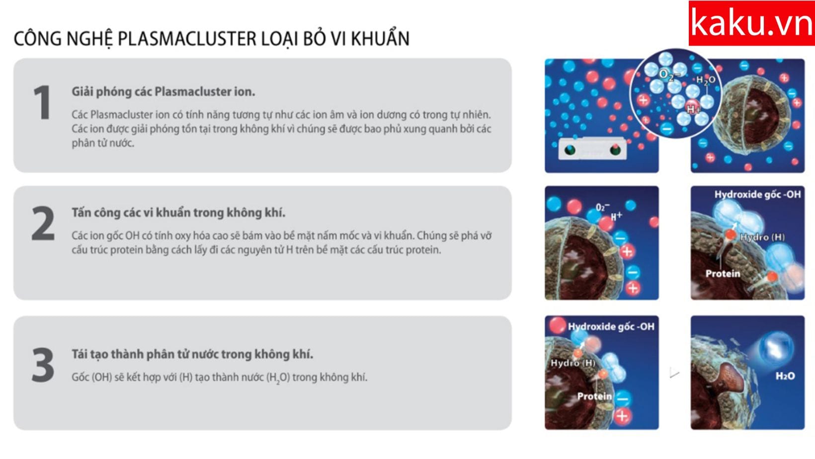 Công nghệ Plamacluster Ion hoạt động ra sao?