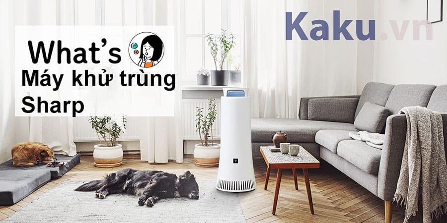 Máy khử trùng nội địa Nhật Sharp có phải là máy lọc không khí ???