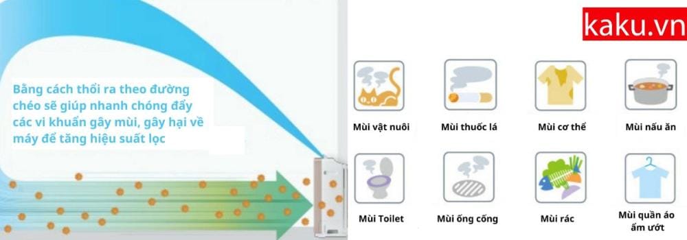 Máy lọc không khí là gì? Máy lọc không khí dùng để làm gì?