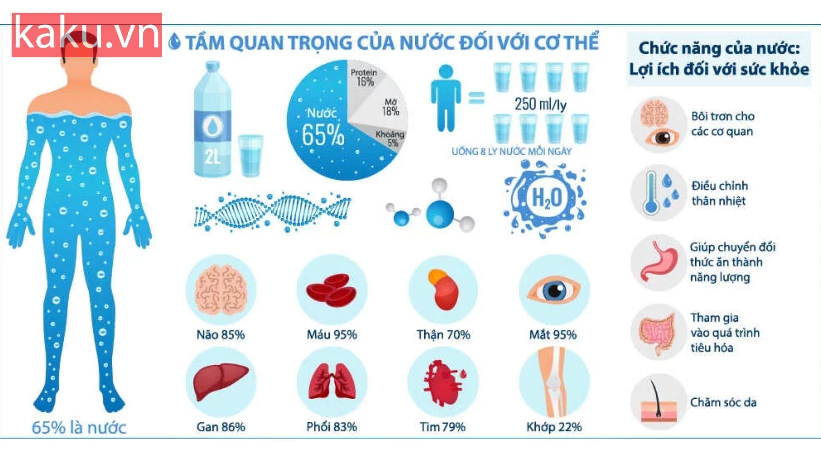 Máy lọc nước tạo kiềm: Hiệu quả và lợi ích cho sức khỏe của bạn. 6 Lợi ích sức khỏe
