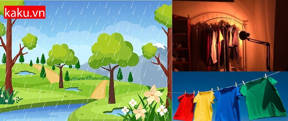 Tủ giặt sấy LG : Liệu có phải thiết bị giặt xu hướng tương lai. 9 Cứu nguy trong những ngày mưa bão