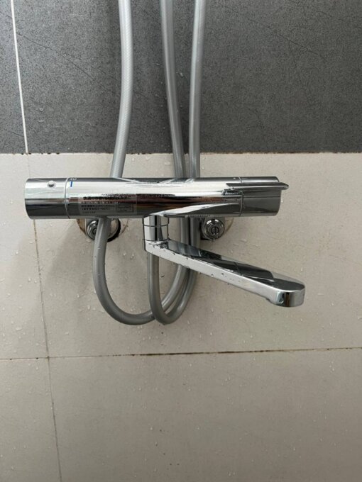 TOTO TBW04401J1 Sen Tắm Cây Nội Địa Nhật - Hình ảnh 5
