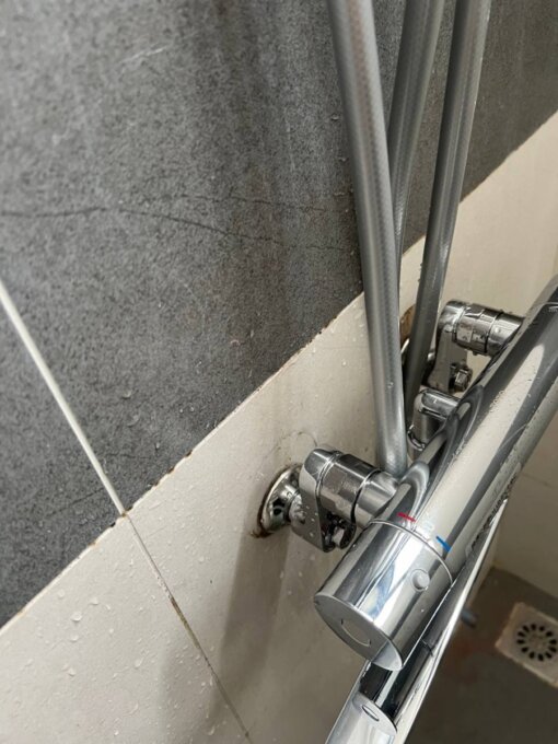 TOTO TBW04401J1 Sen Tắm Cây Nội Địa Nhật - Hình ảnh 6