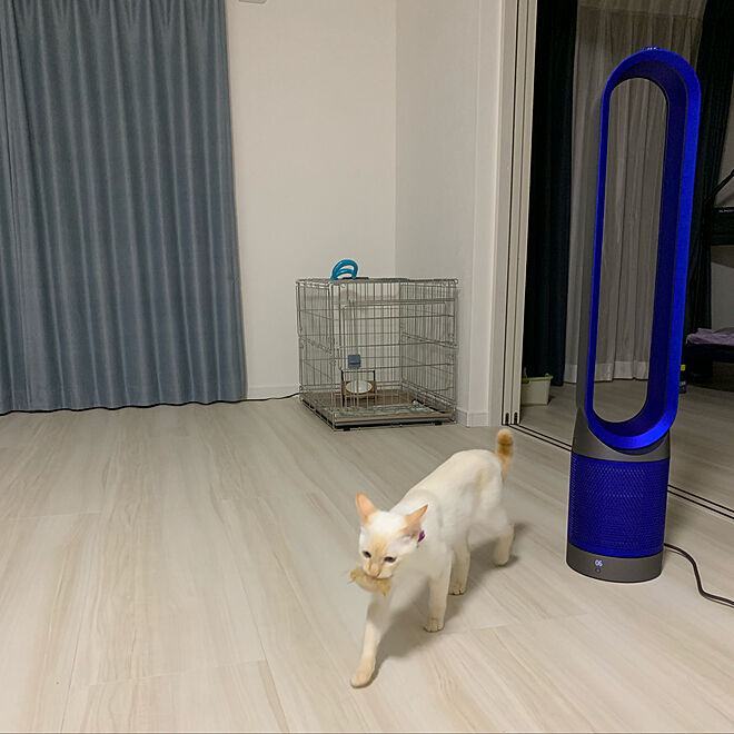 Quạt không cánh DYSON TP00IB nội địa Nhật 3 Quạt không cánh DYSON TP00IB nội địa Nhật - Hình ảnh 3