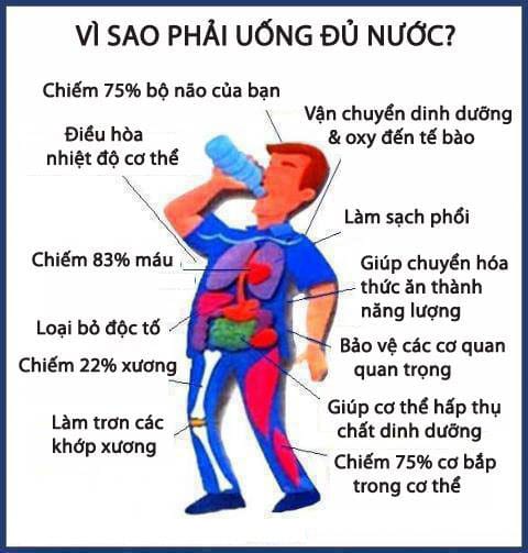 Bí Mật Sức Khỏe Từ Nước Khám Phá Máy Lọc Nước Tạo Kiềm Nội Địa Nhật 7 Bí Mật Sức Khỏe Từ Nước Khám Phá Máy Lọc Nước Tạo Kiềm Nội Địa Nhật