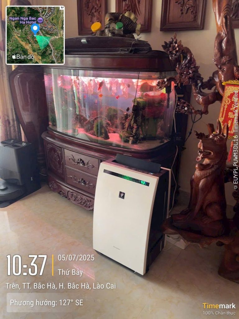 Image #1 from Tuấn Long
