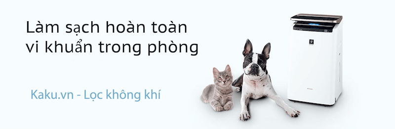 lọc không khí